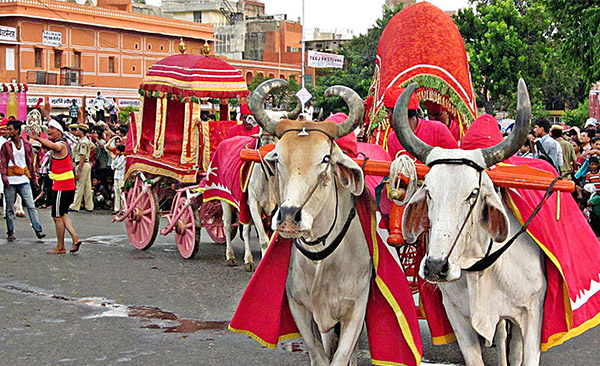 Events and Festivals in Jaipur